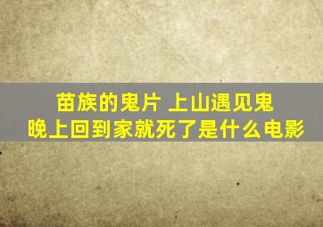 苗族的鬼片 上山遇见鬼 晚上回到家就死了是什么电影